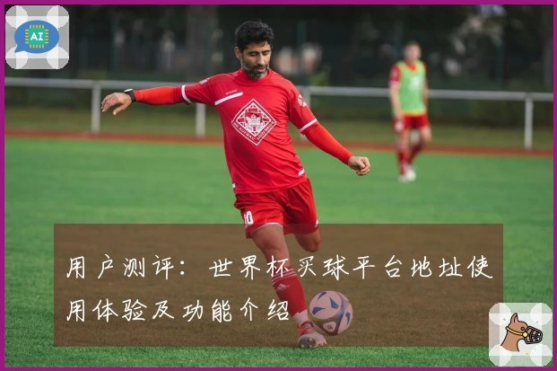 用户测评：世界杯买球平台地址使用体验及功能介绍
