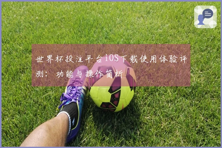 世界杯投注平台iOS下载使用体验评测：功能与操作简析