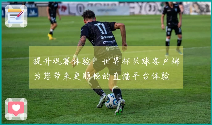提升观赛体验，世界杯买球客户端为您带来更顺畅的直播平台体验